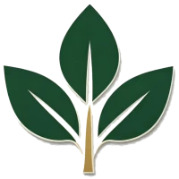 Qingdao Chengyixin Rafræn Tækni Co., Ltd.